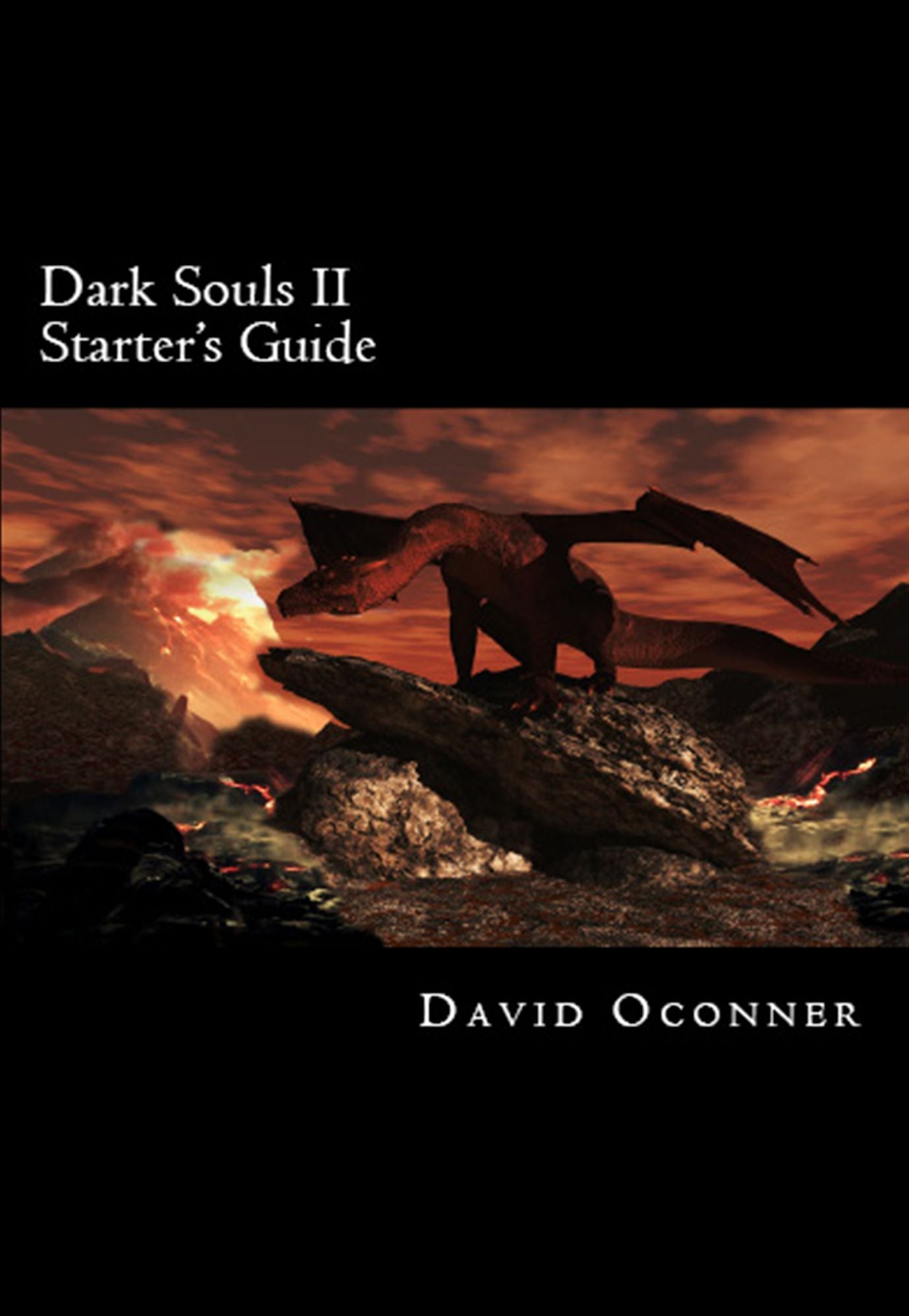 Dark Souls II Starter's Guide