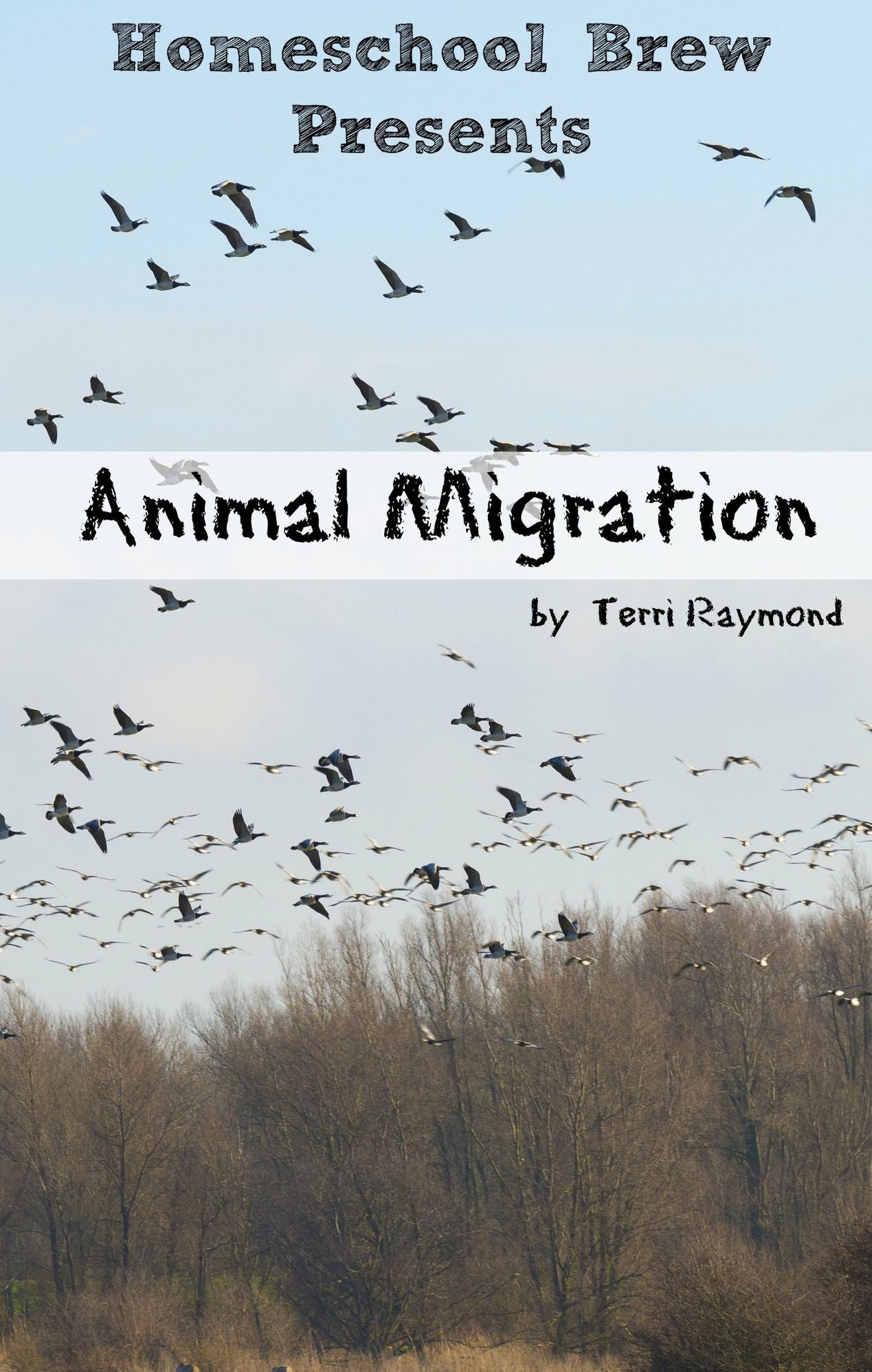 Animal Migration (Fourth Grade Social Science Lesson, Activities, Discussion Questions and Quizzes)