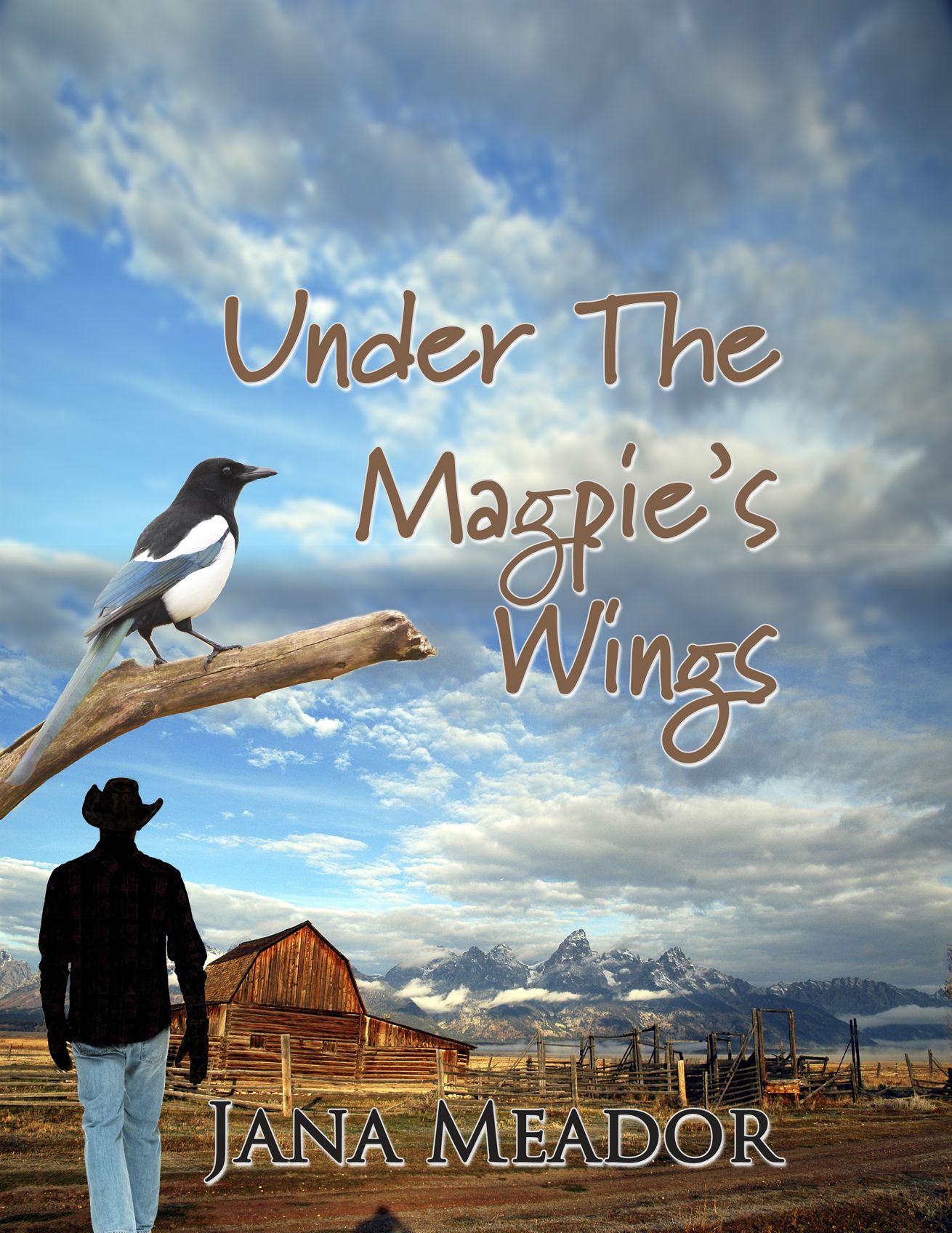 Under The Magpie's Wings