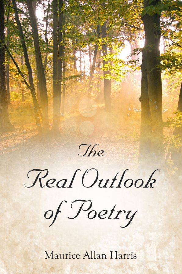 The Real Outlook of Poetry