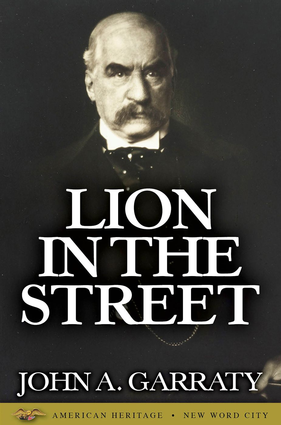 Lion in the Street