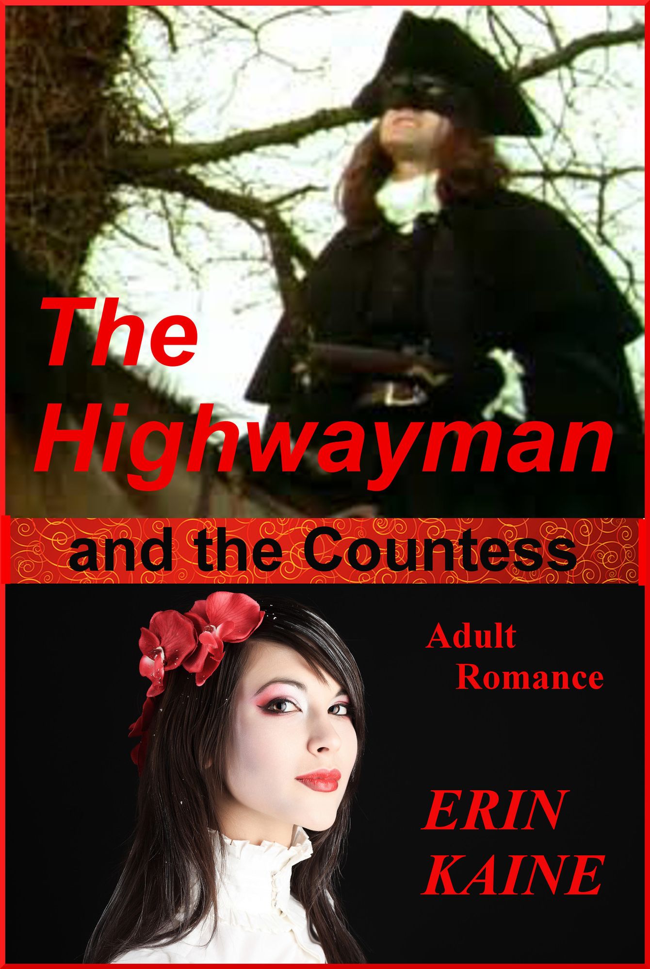 The Highwayman and the Countess: An adult romance