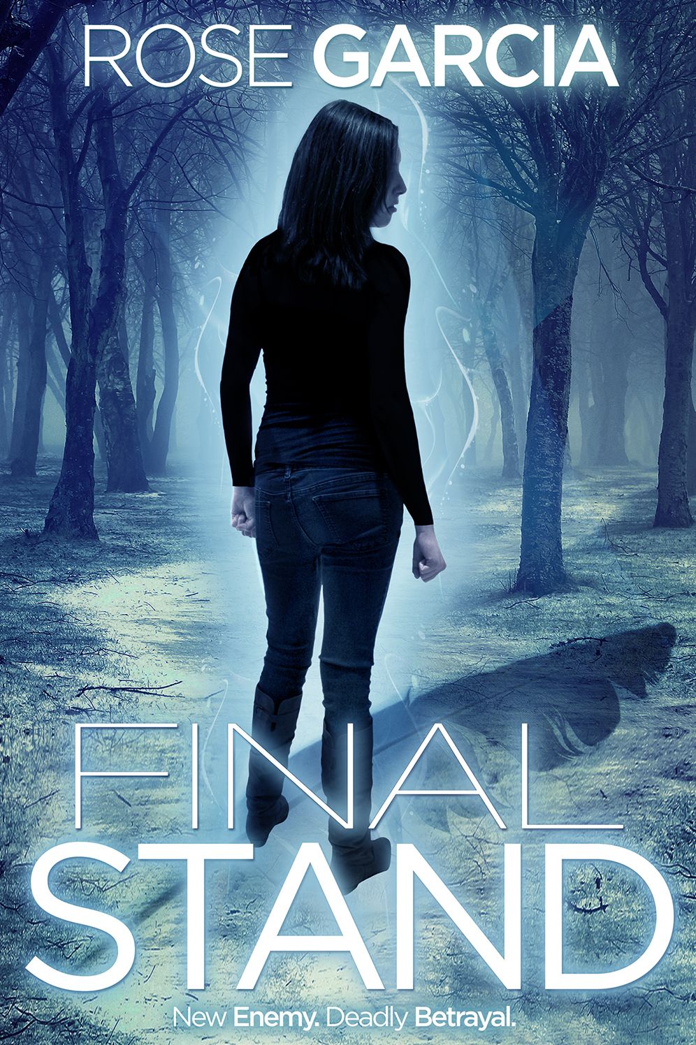 Final Stand, The Final Life Series Book 2