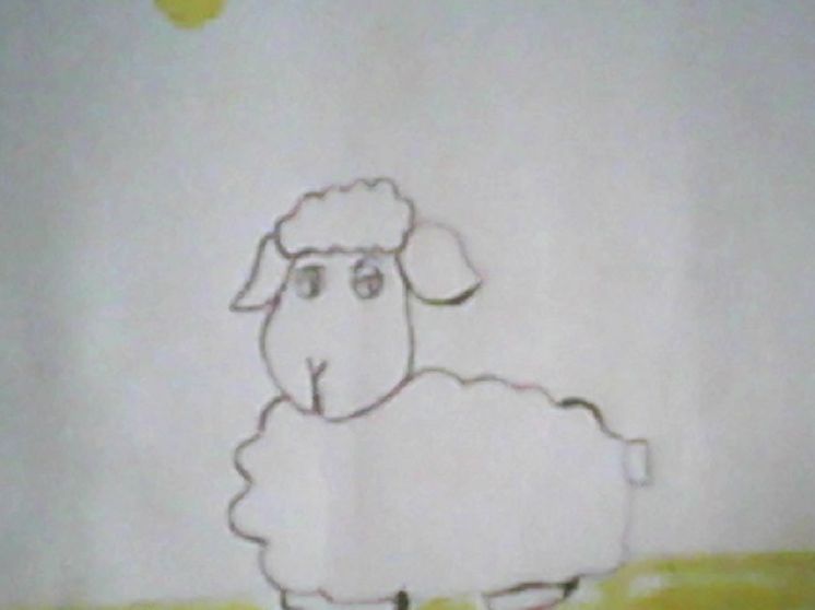 Where Is My Little Sheep