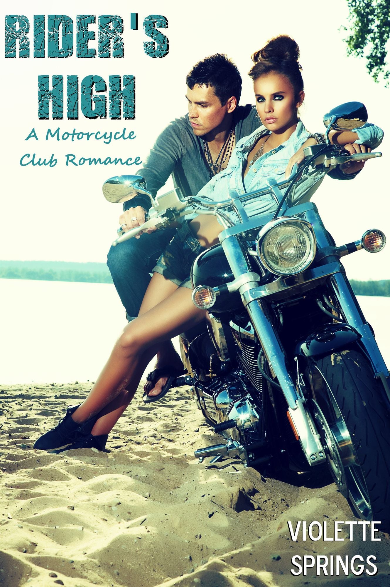 Rider's High (MC Romance)