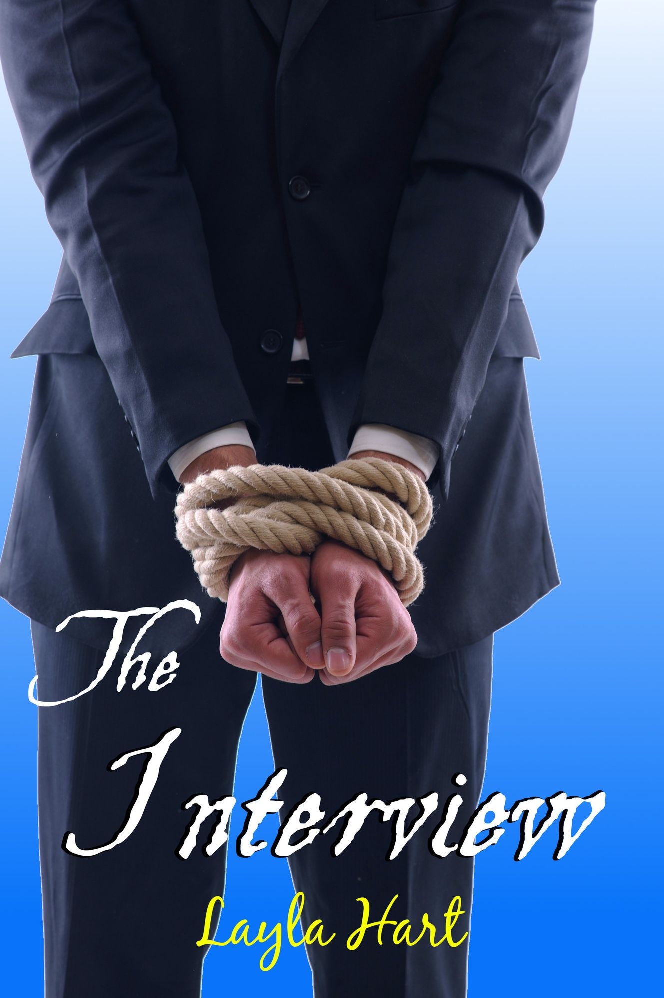 The Interview (gay first time office sex erotica)