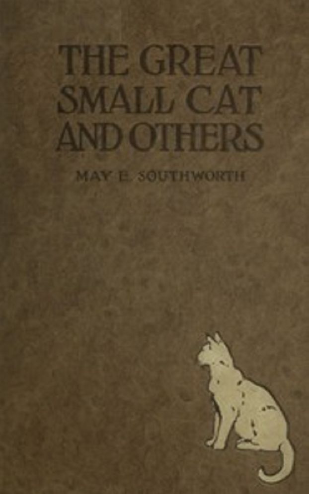 The Great Small Cat