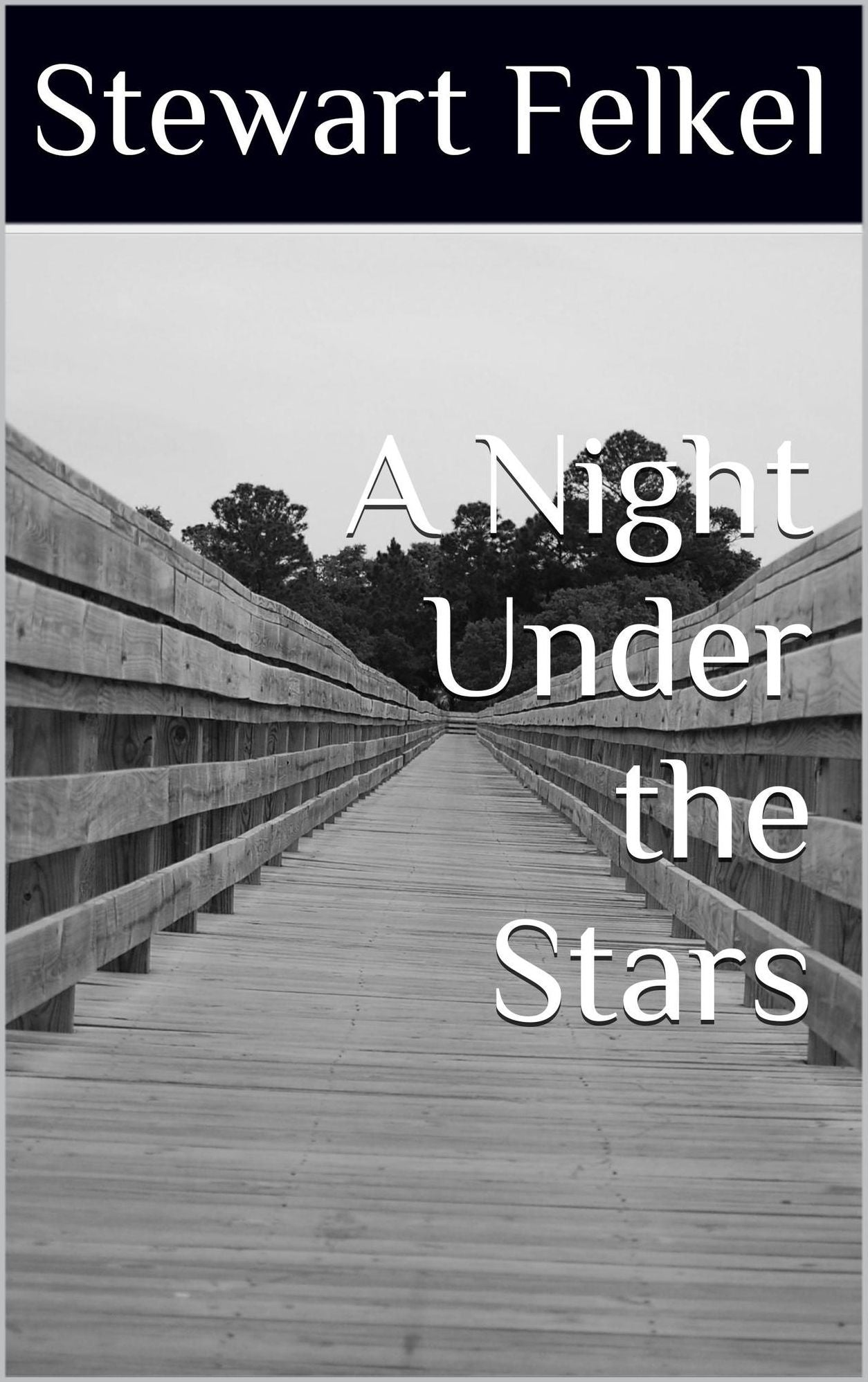 A Night Under the Stars