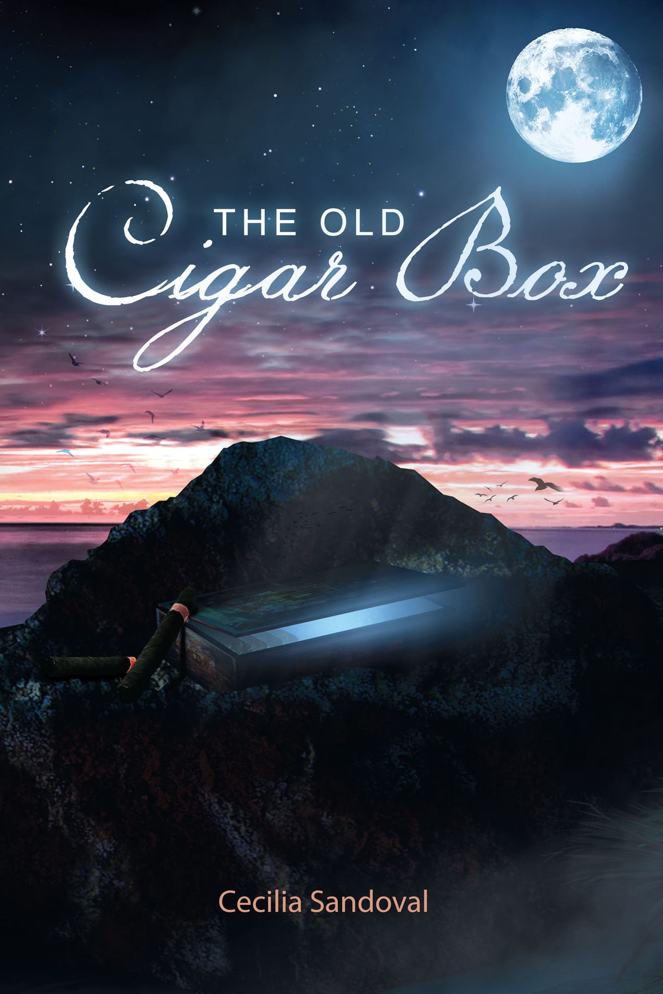 The Old Cigar Box