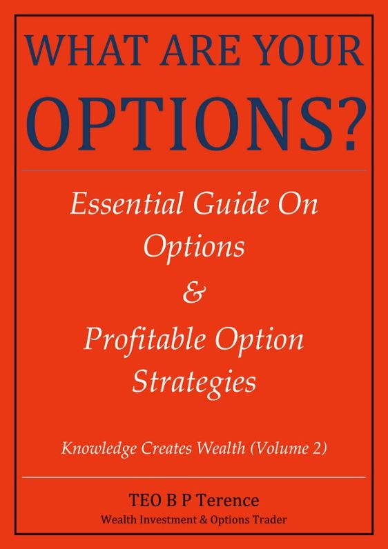 What Are Your Options Essential Guide On Options Profitable Option Strategies Edition 1