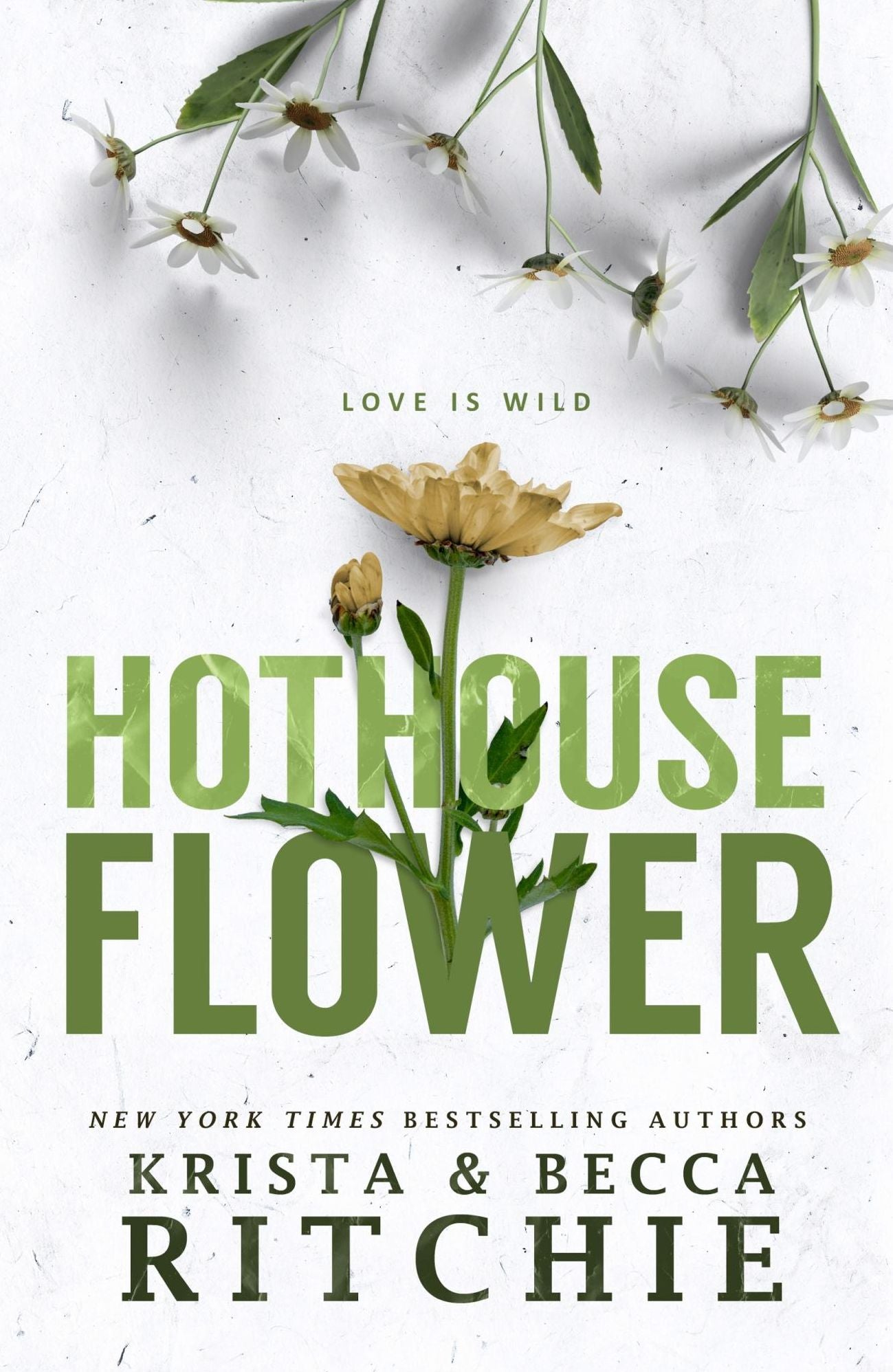 Hothouse Flower (Calloway Sisters)
