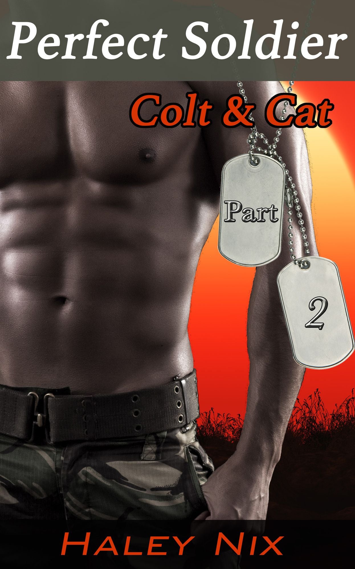 Perfect Soldier: Colt & Cat (BBW Erotic Romance, Military Romance)