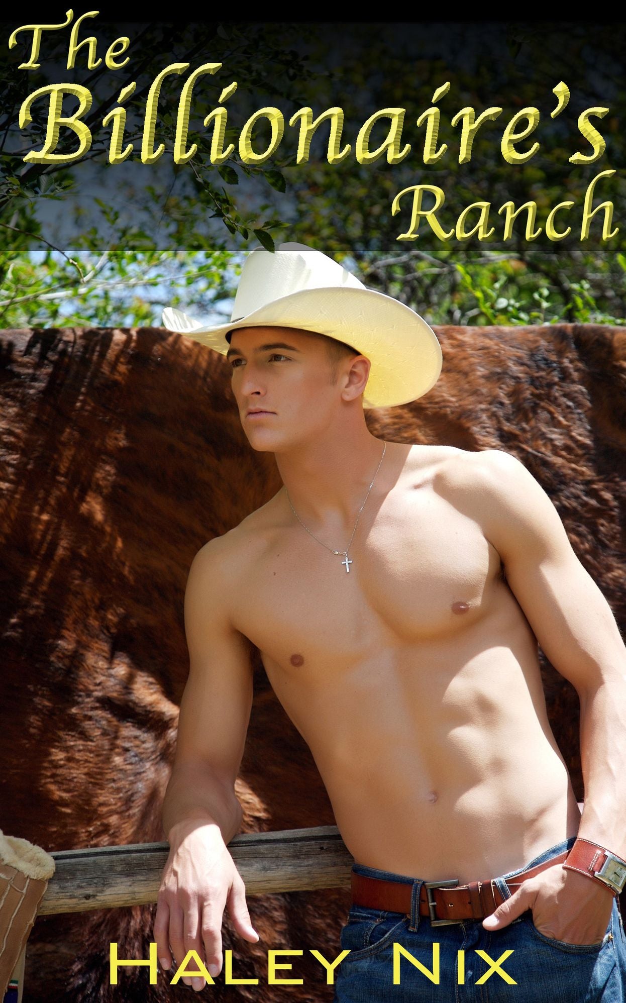 The Billionaire's Ranch (BBW Erotic Romance, Cowboy Billionaire)