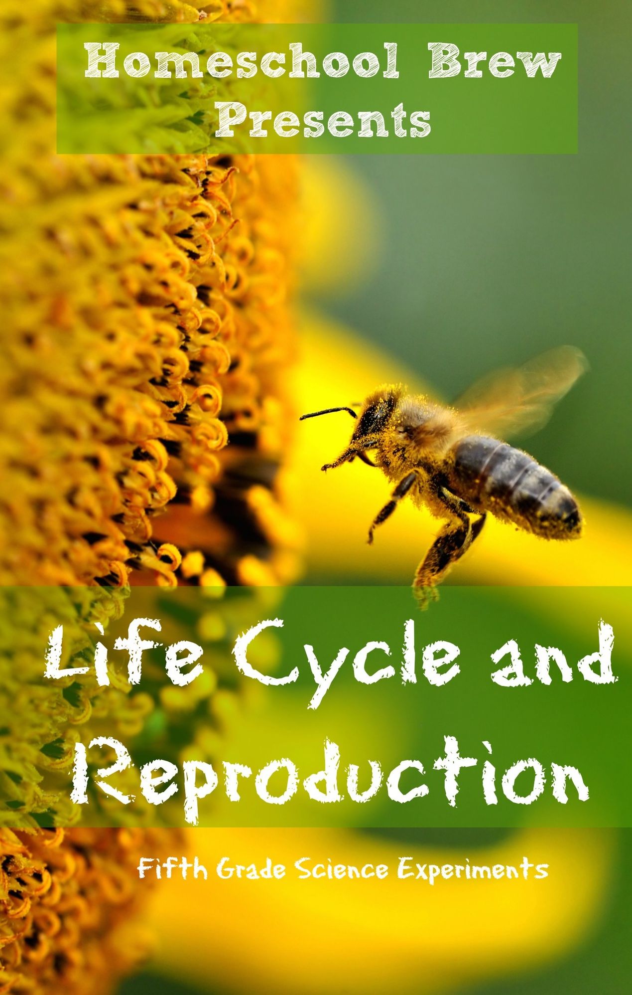 Life Cycle and Reproduction (Fifth Grade Science Experiments)