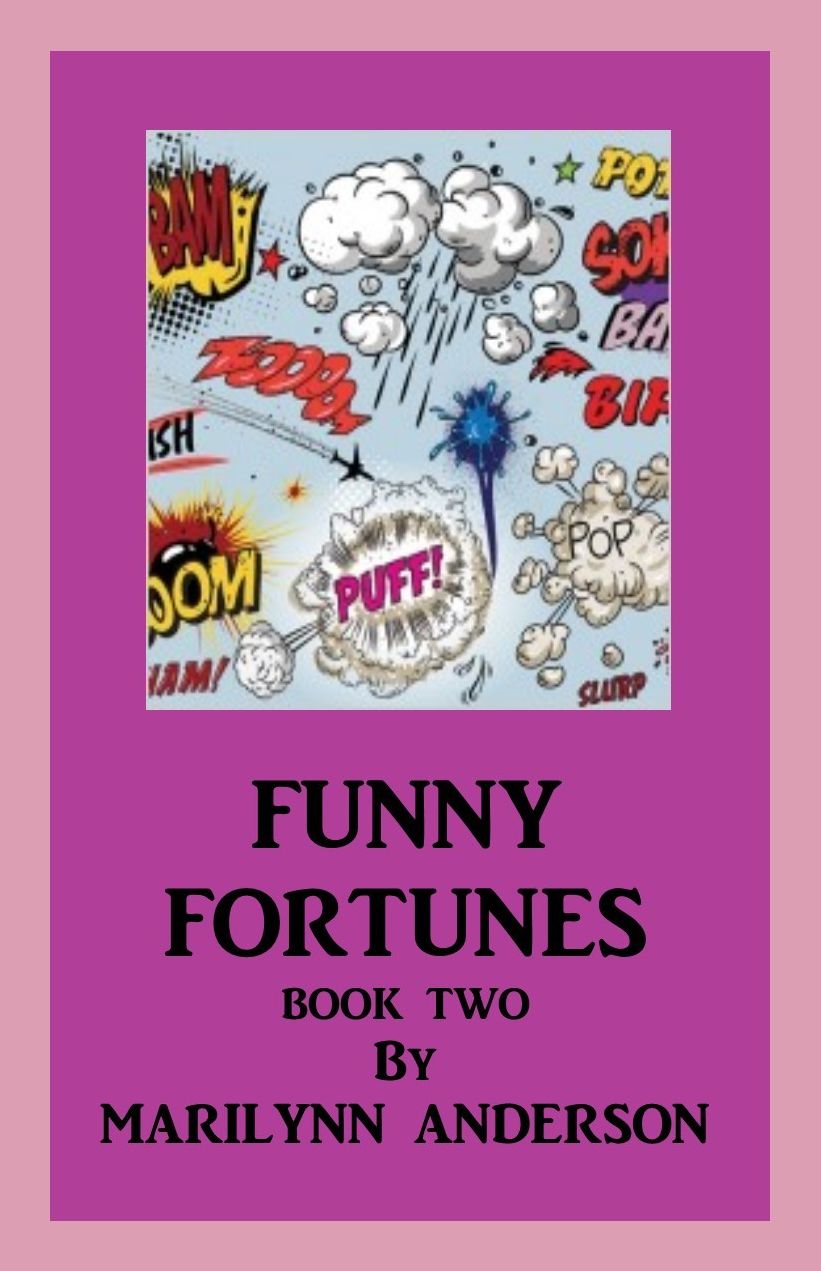 FUNNY FORTUNES Book Two HAVING FUN WITH NAMES of FRIENDS, FAMILY, AND PETS, AS YOU AWARD THEM LAUGHABLE, RANDOM FORTUNES