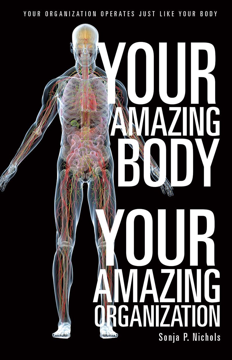 Your Amazing Body Your Amazing Organization