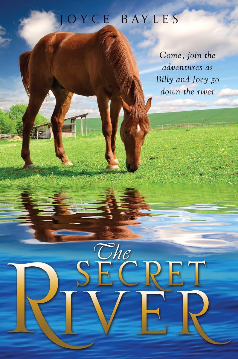 The Secret River