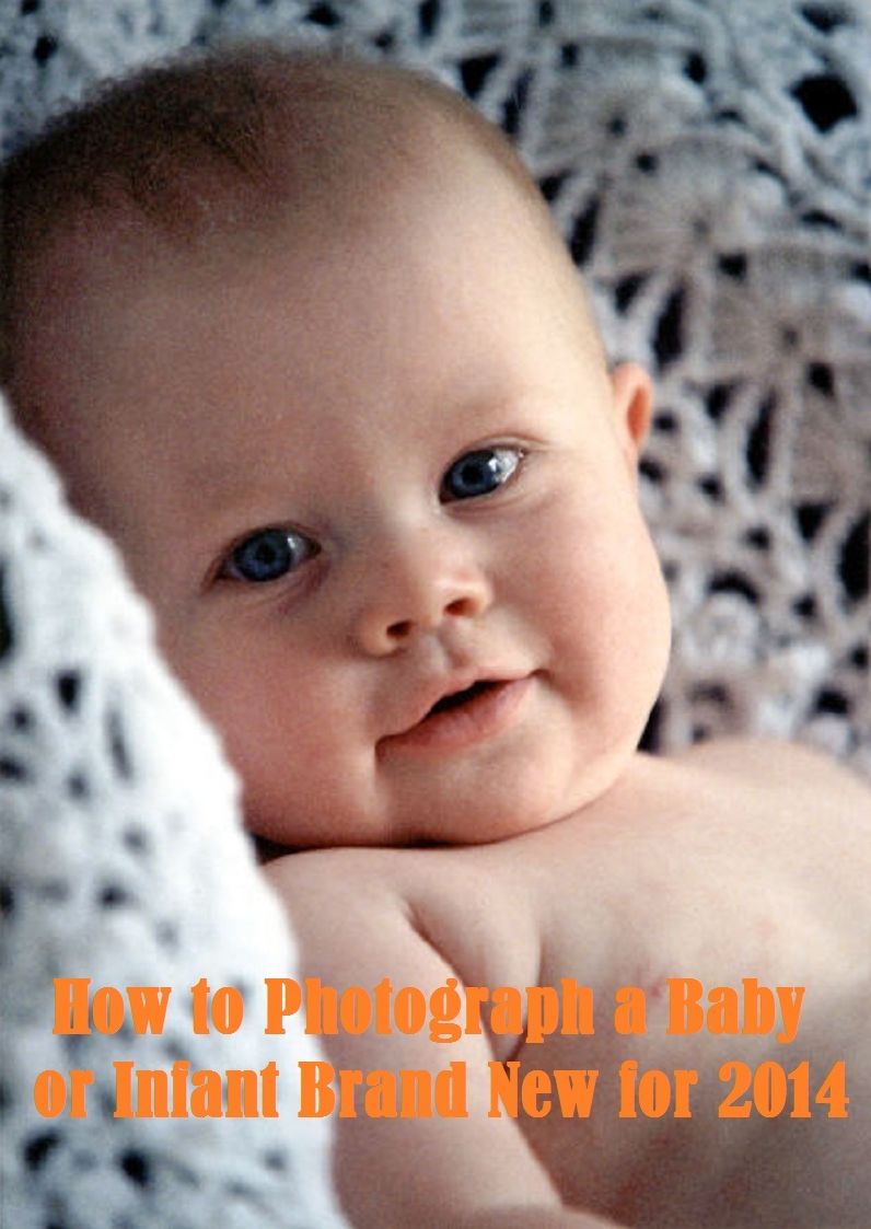 Best Seller How to Photograph a Baby or Infant 2012 ( sensual, bodily, physical, corporeal, photo, picture, snap, snapshot, image, photograph )