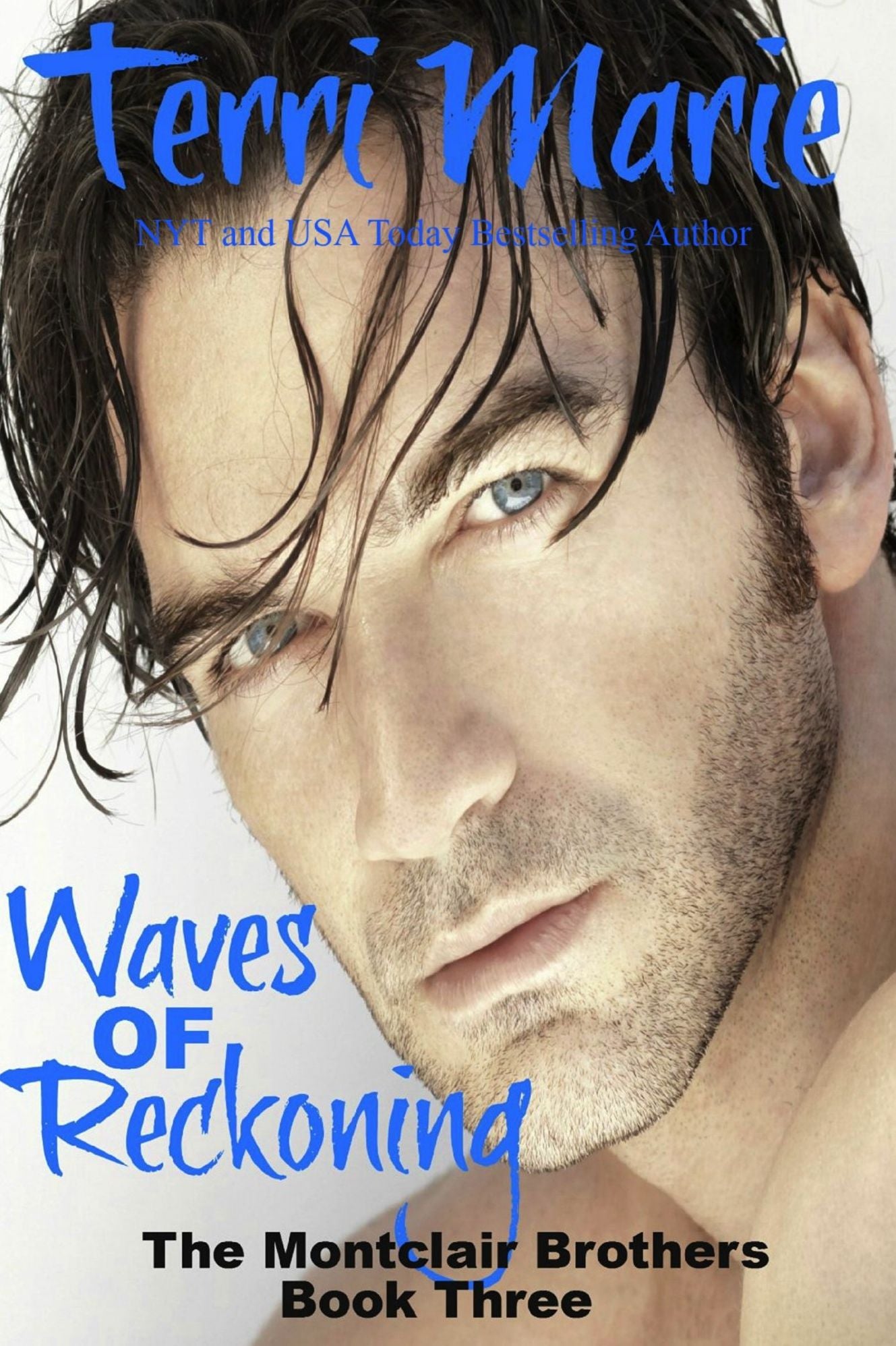 Waves of Reckoning, The Montclair Brothers, Book 3