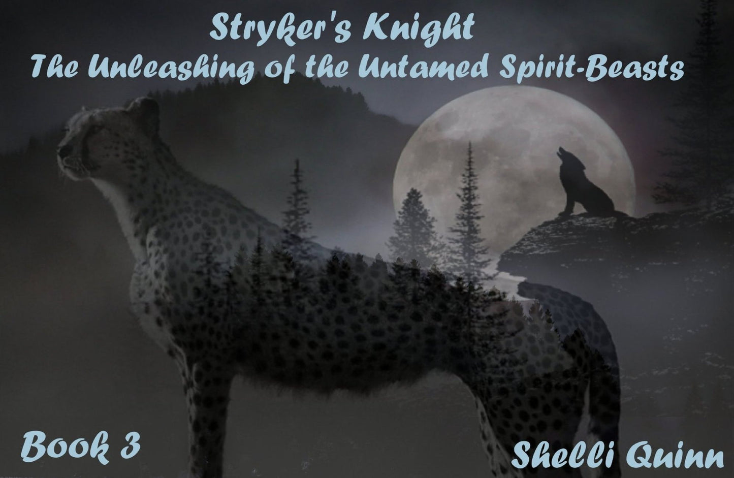 Stryker's Knight