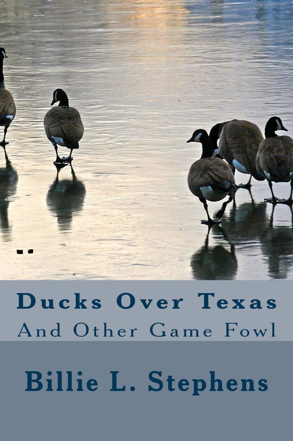 Ducks Over Texas