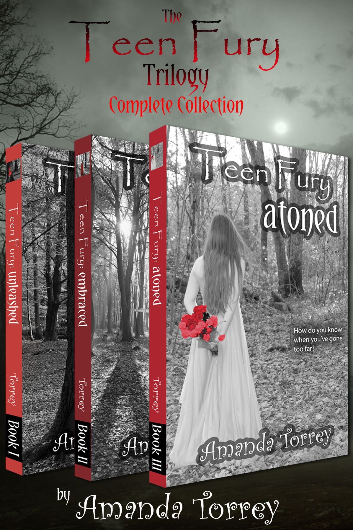 Teen Fury Trilogy: The Complete Collection