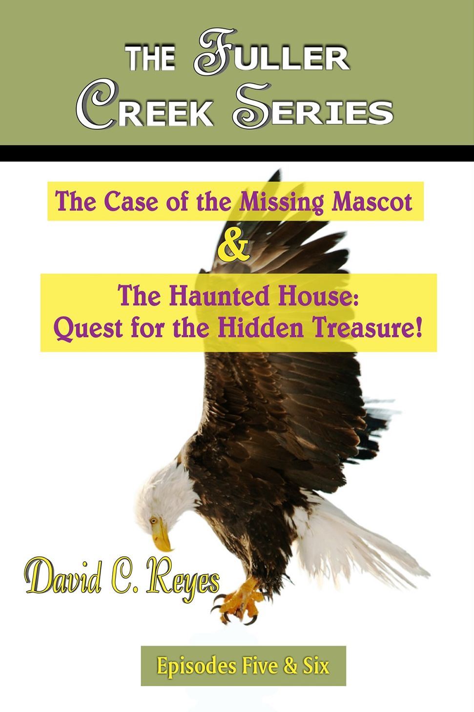 The Fuller Creek Series; The Case of the Missing Mascot & The Haunted House: Quest for the Hidden Treasure!