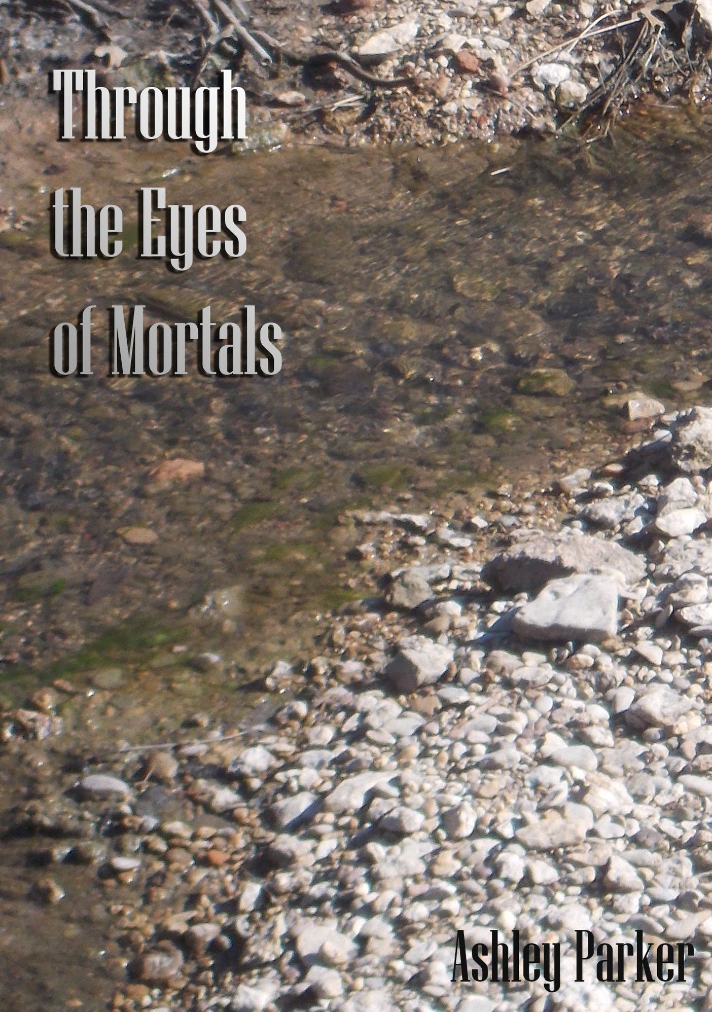Through The Eyes Of Mortals