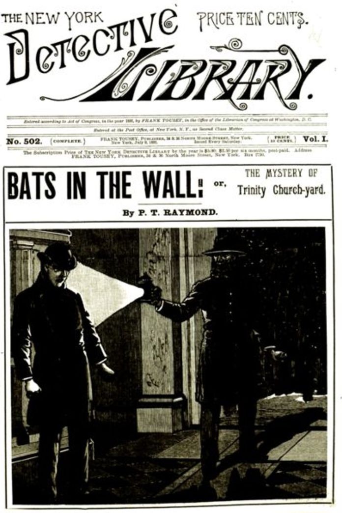 Bats in the Wall or, The Mystery of Trinity Church-yard by P T Raymond