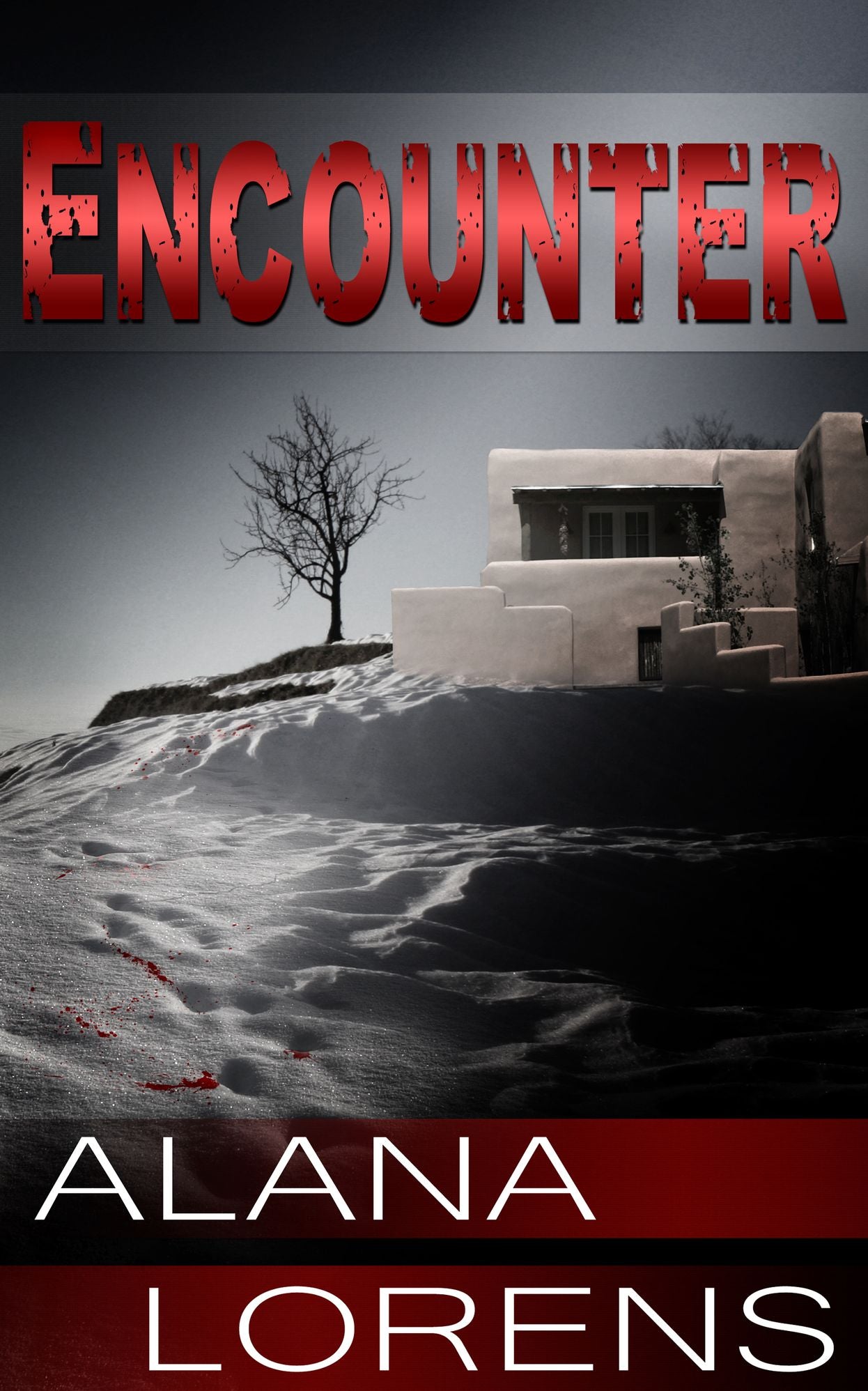 Encounter