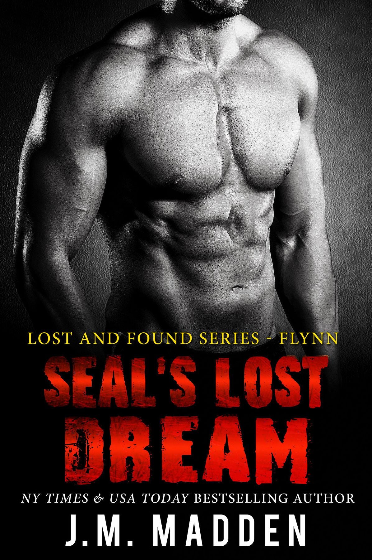 SEAL's Lost Dream