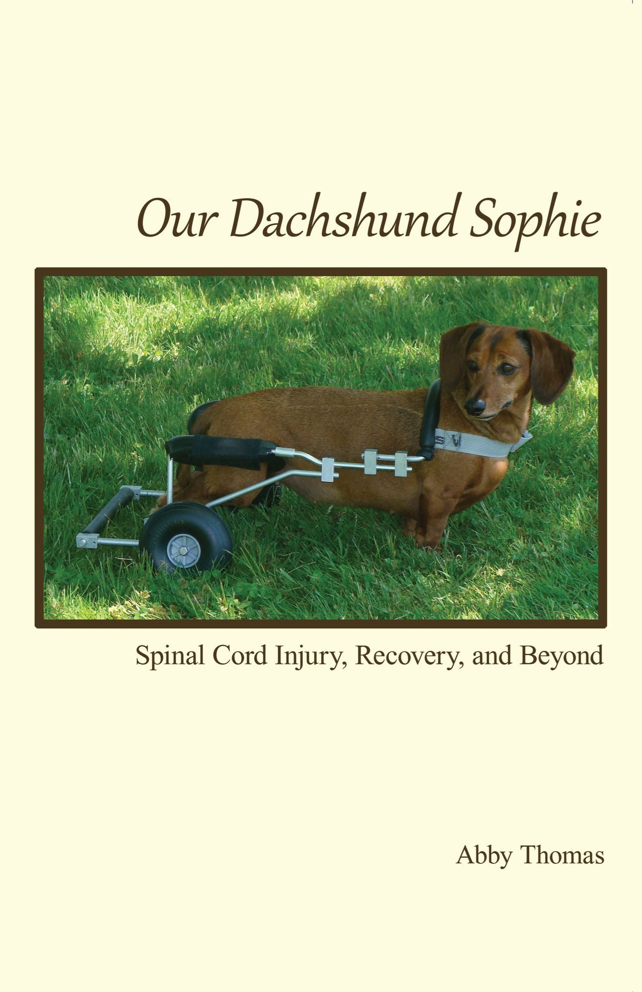 Our Dachshund Sophie