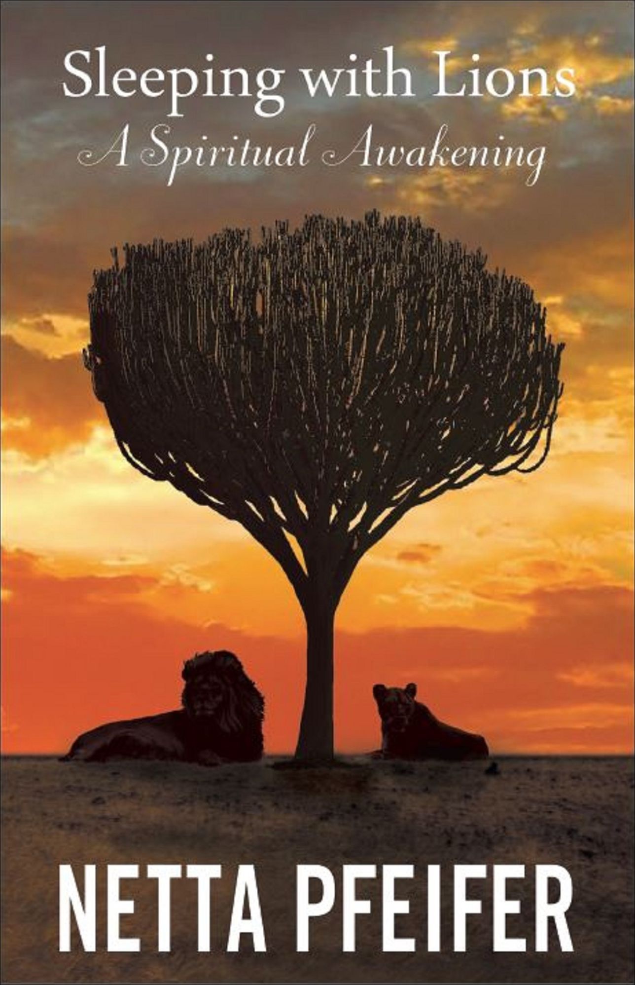 Sleeping with Lions "A Spiritual Awakening"