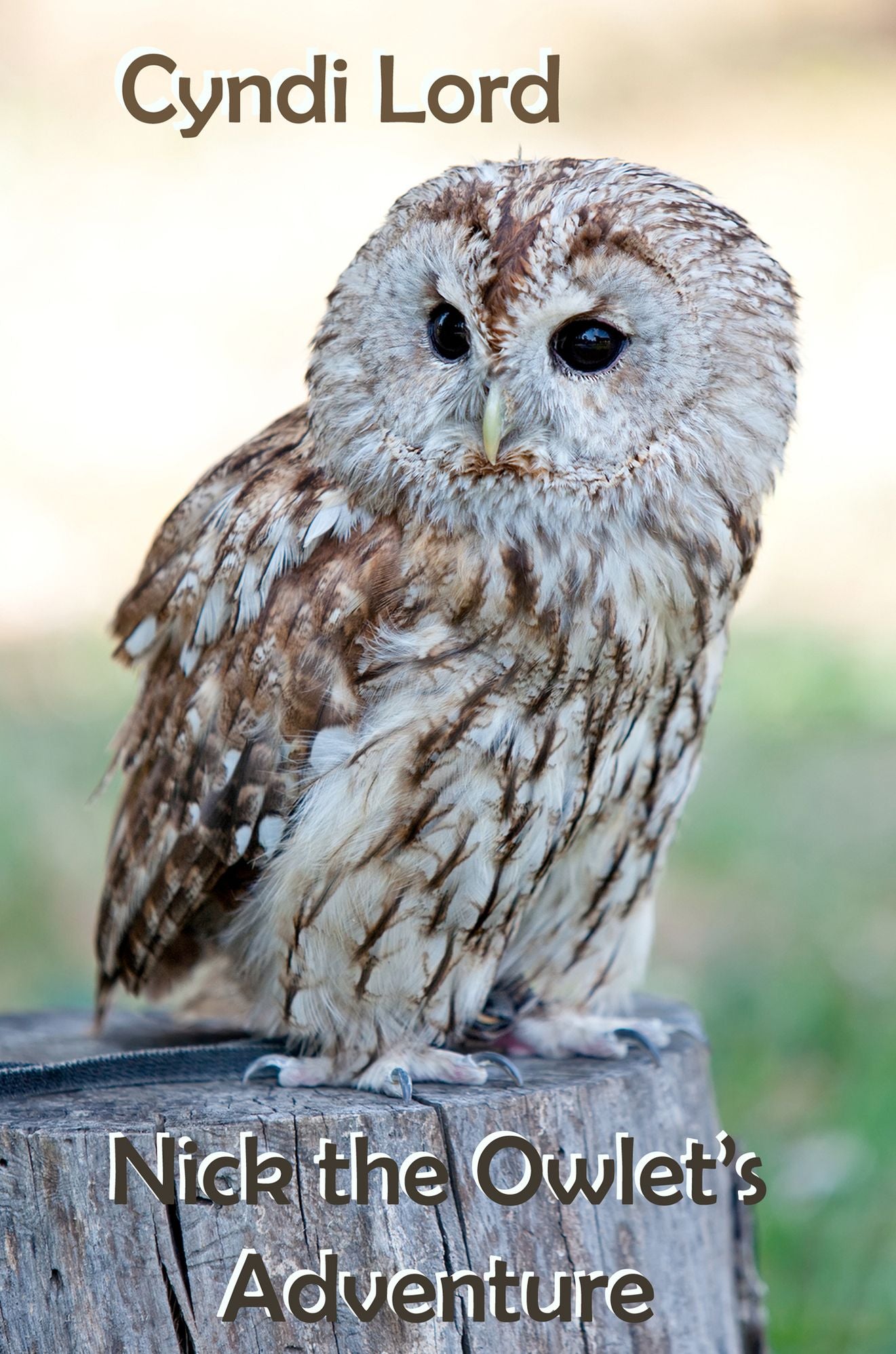 Nick the Owlet's Adventure