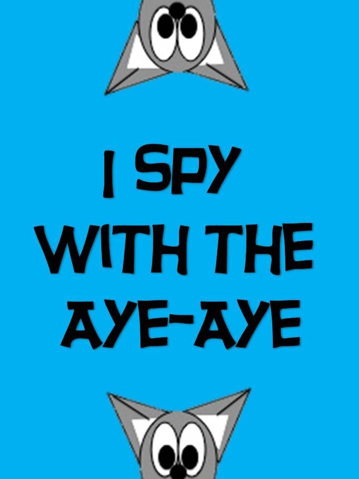 I Spy With the Aye-Aye