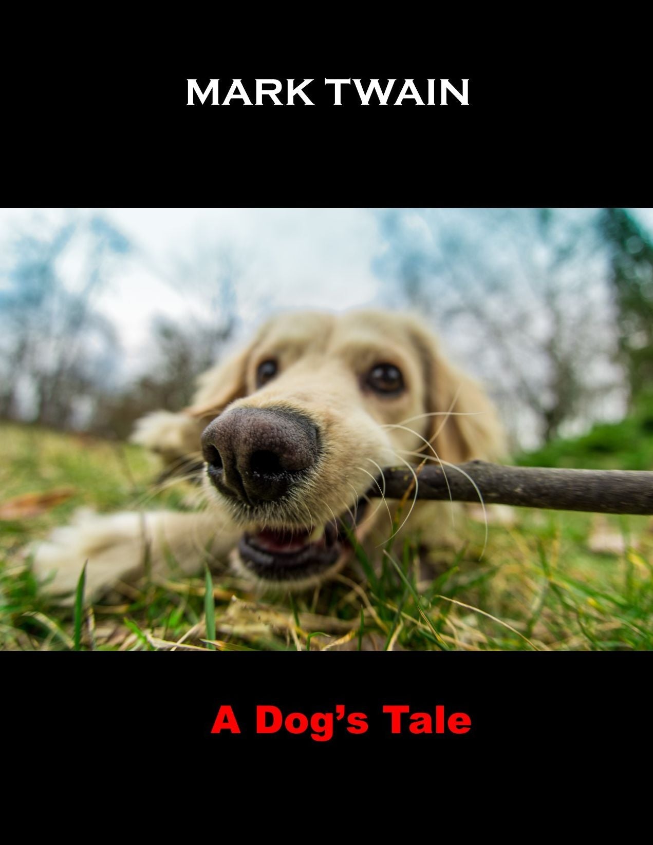 A Dogs Tale