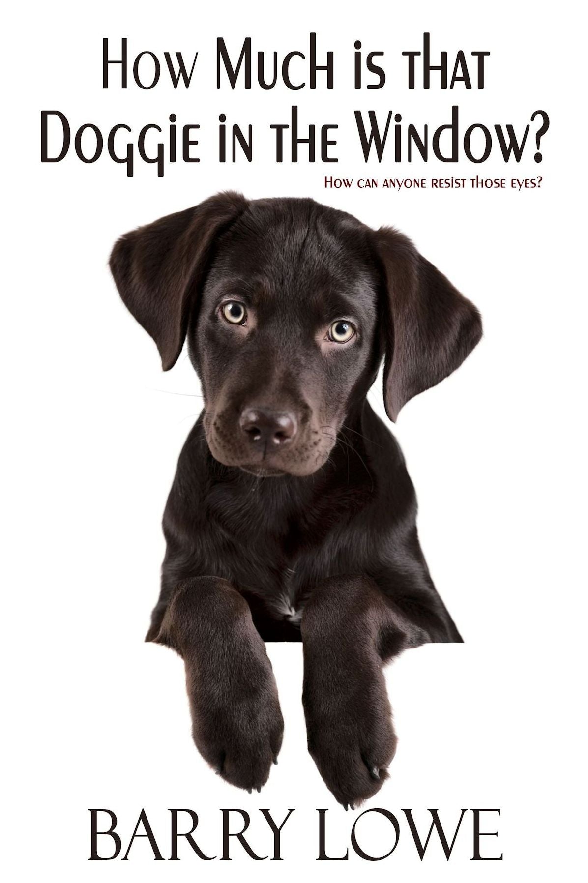 How Much is That Doggie In The Window?