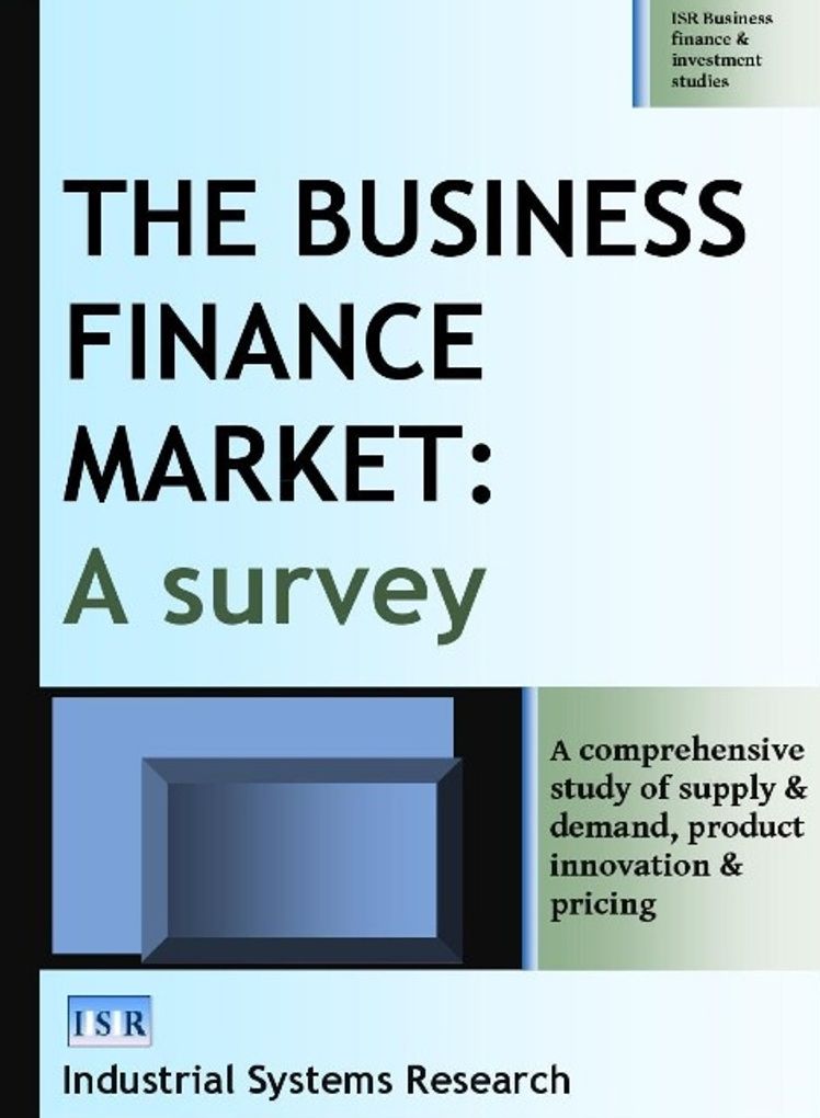 The Business Finance Market: A Survey