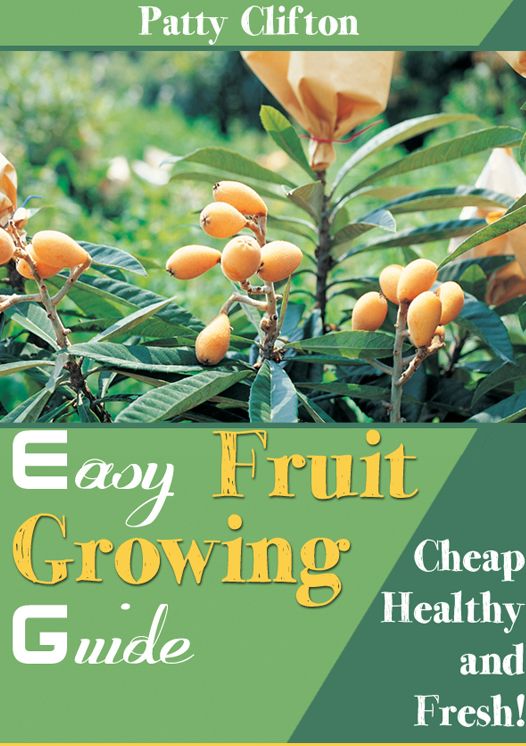 Easy Fruit Growing Guide
