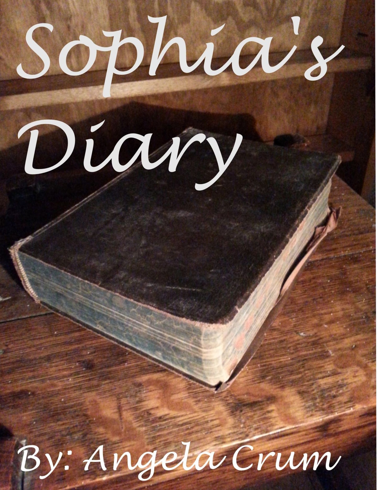 Sophia's Diary