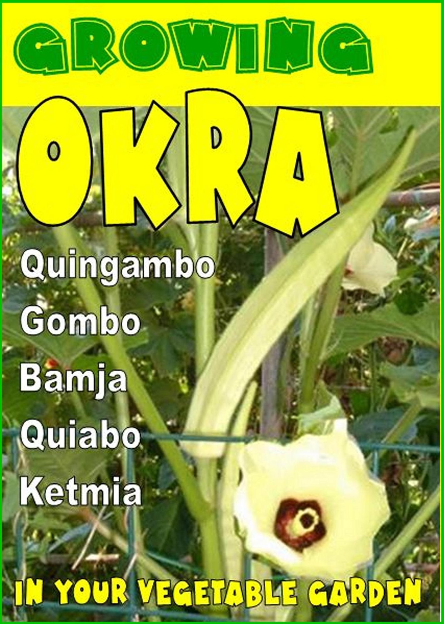 Growing Okra in your vegetable garden. Also called Gombo, Bamja, Quiabo, Ketmia, Quingambo