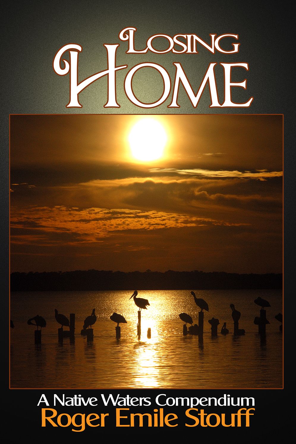 Losing Home: A Native Waters Compendium
