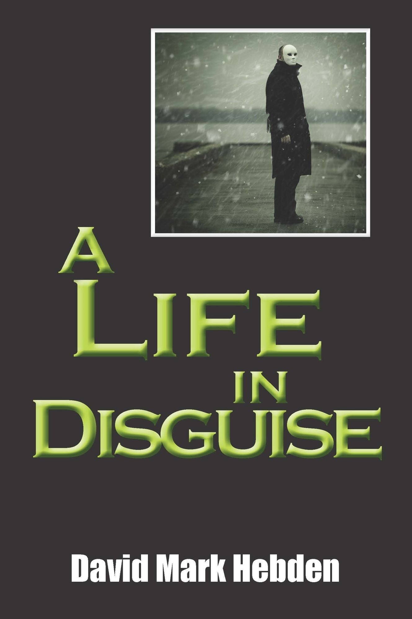 A Life in Disguise