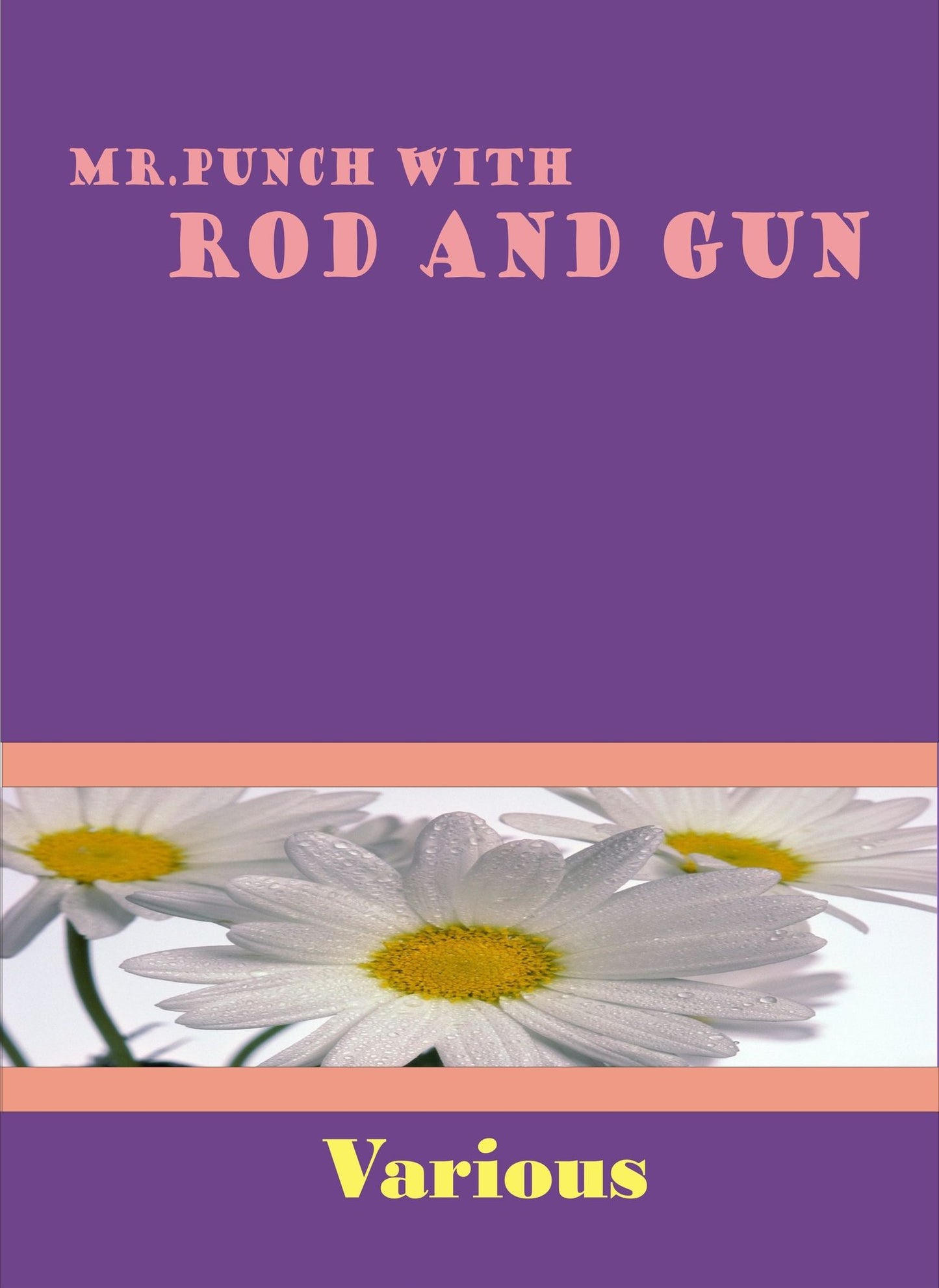 Mr. Punch With Rod and Gun by Various