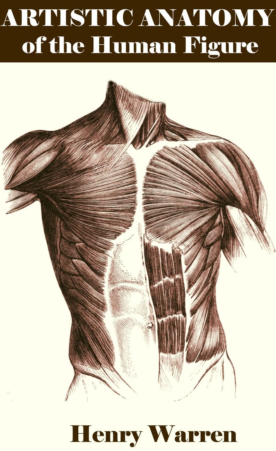 Artistic Anatomy of the Human Figure