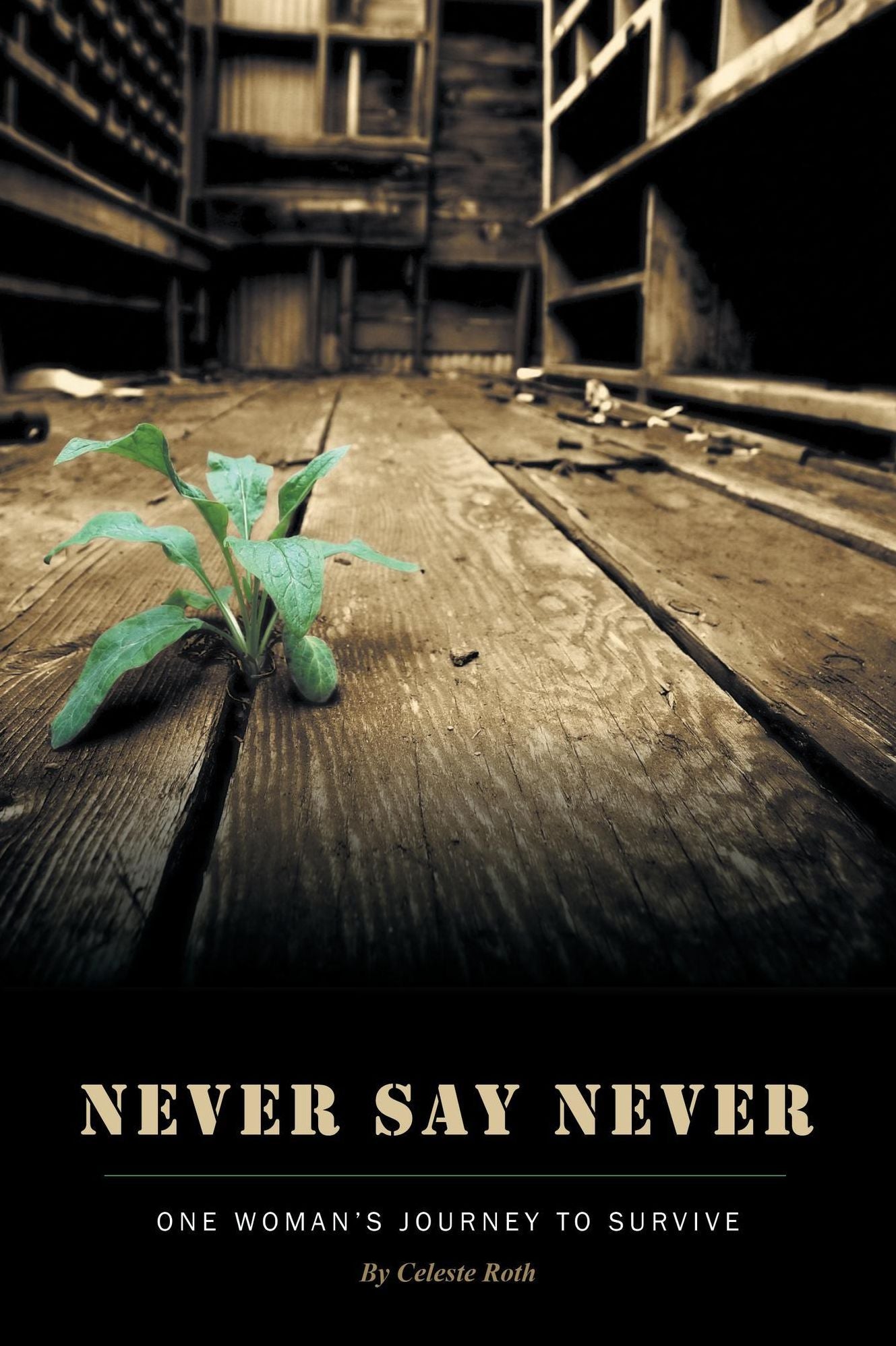 Never Say Never: One Woman's Journey To Survive