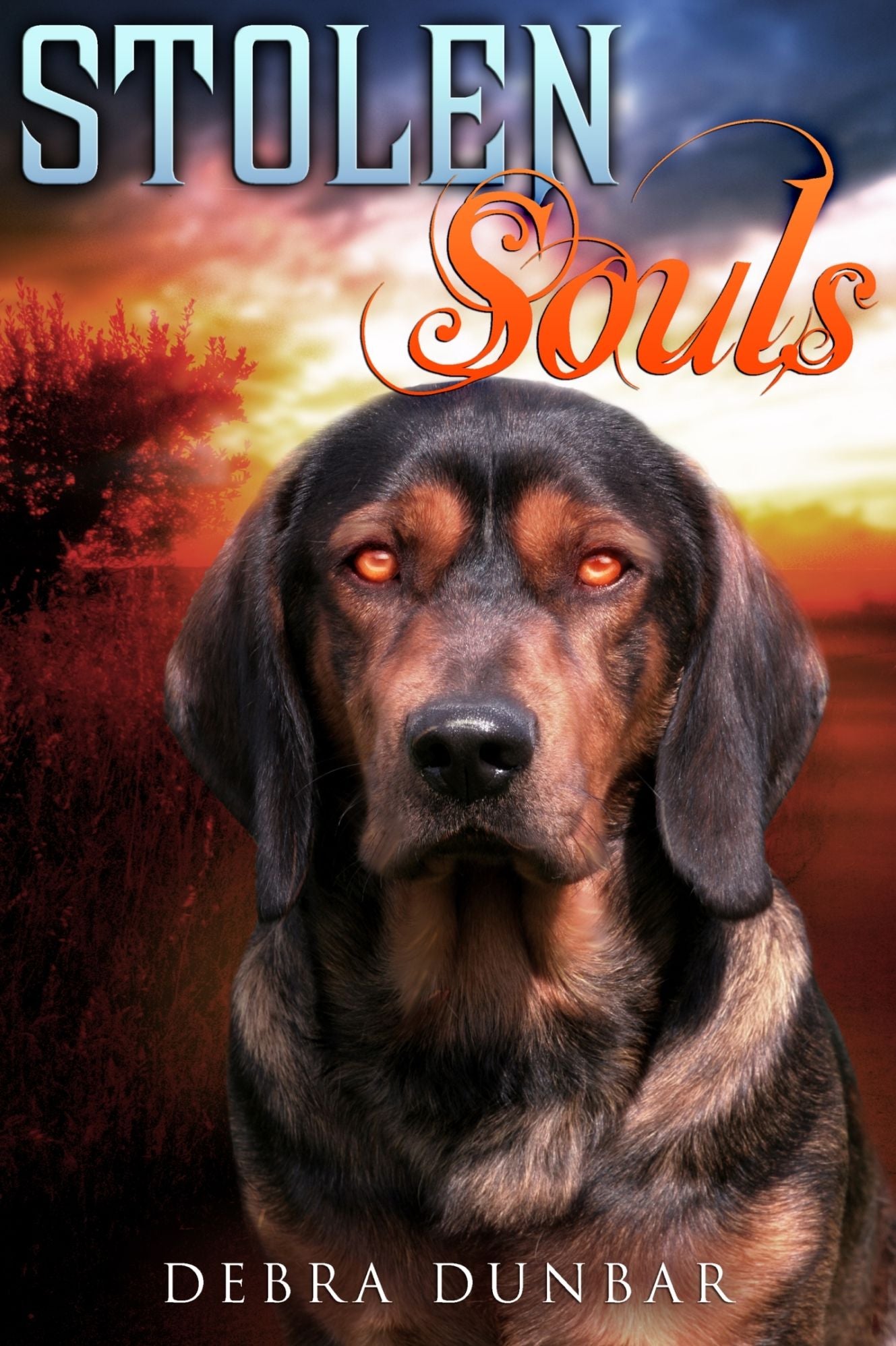 Stolen Souls