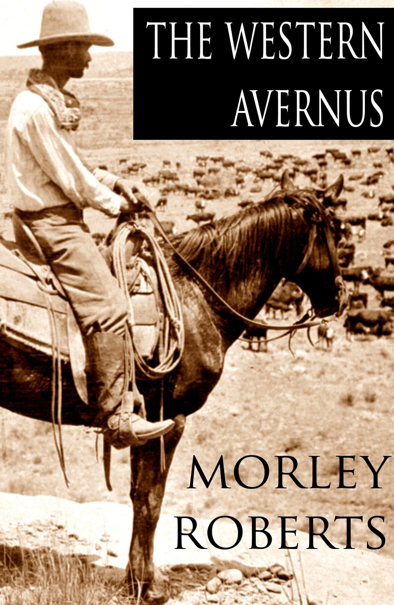 The Western Avernus: Three Years' Autobiography In Western America