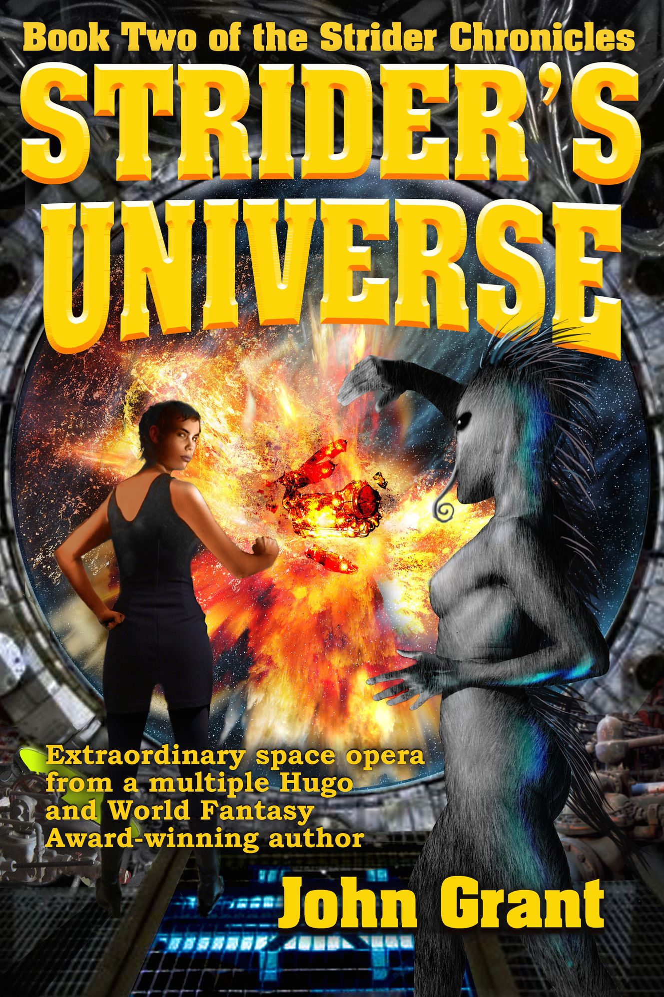 Strider's Universe