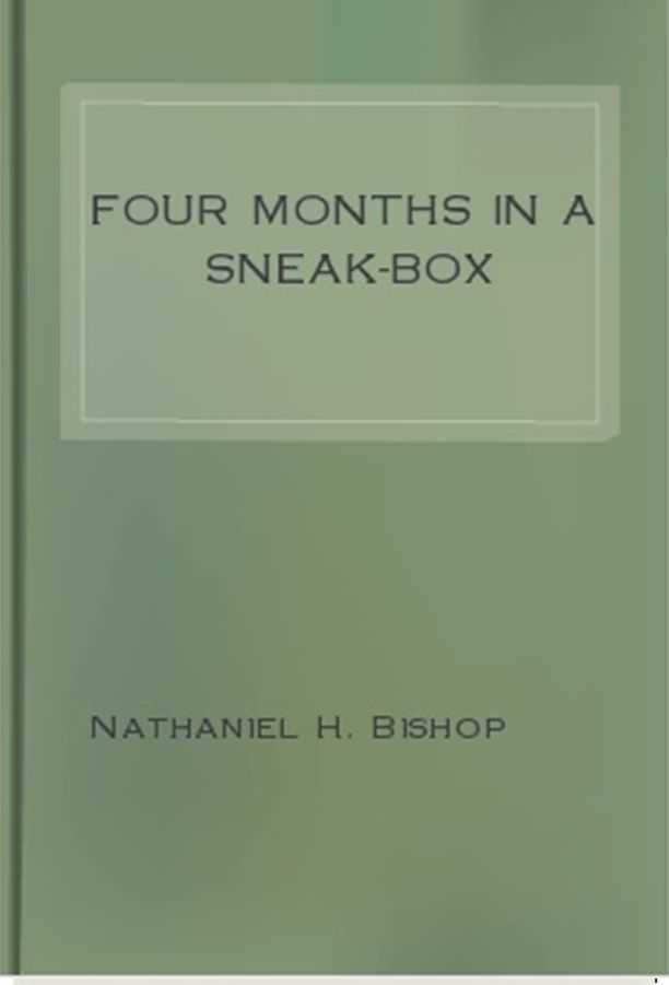 Four Months in a Sneak-Box